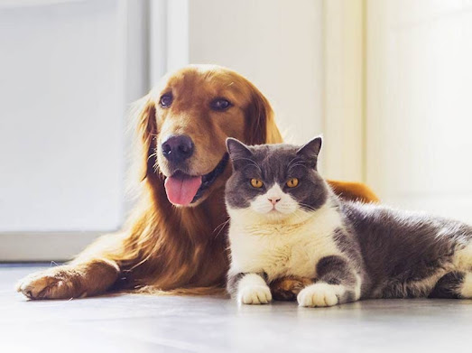 WhatsApp Image 2025-08-22 at 8.51.39 PM (1)